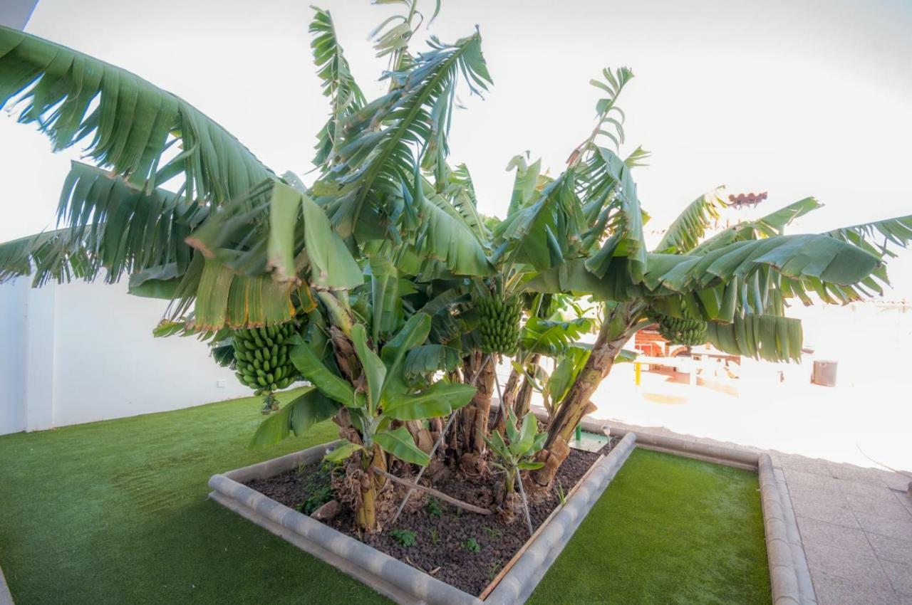Villa Carolina With Private Pool Salobre  Luaran gambar